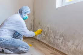 Best Biohazard Mold Removal  in Newhall, IA