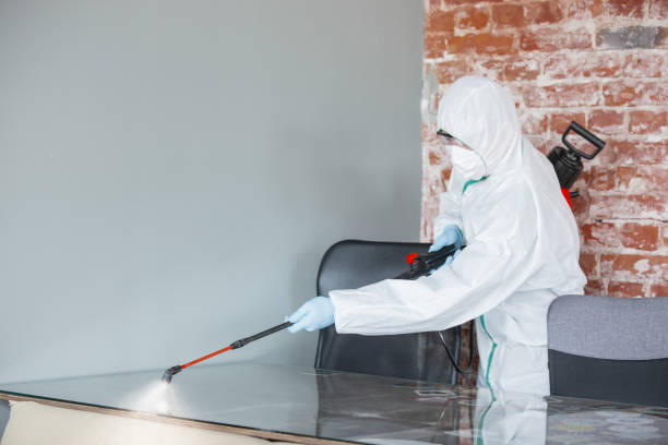 Best Mold Prevention Services  in Newhall, IA